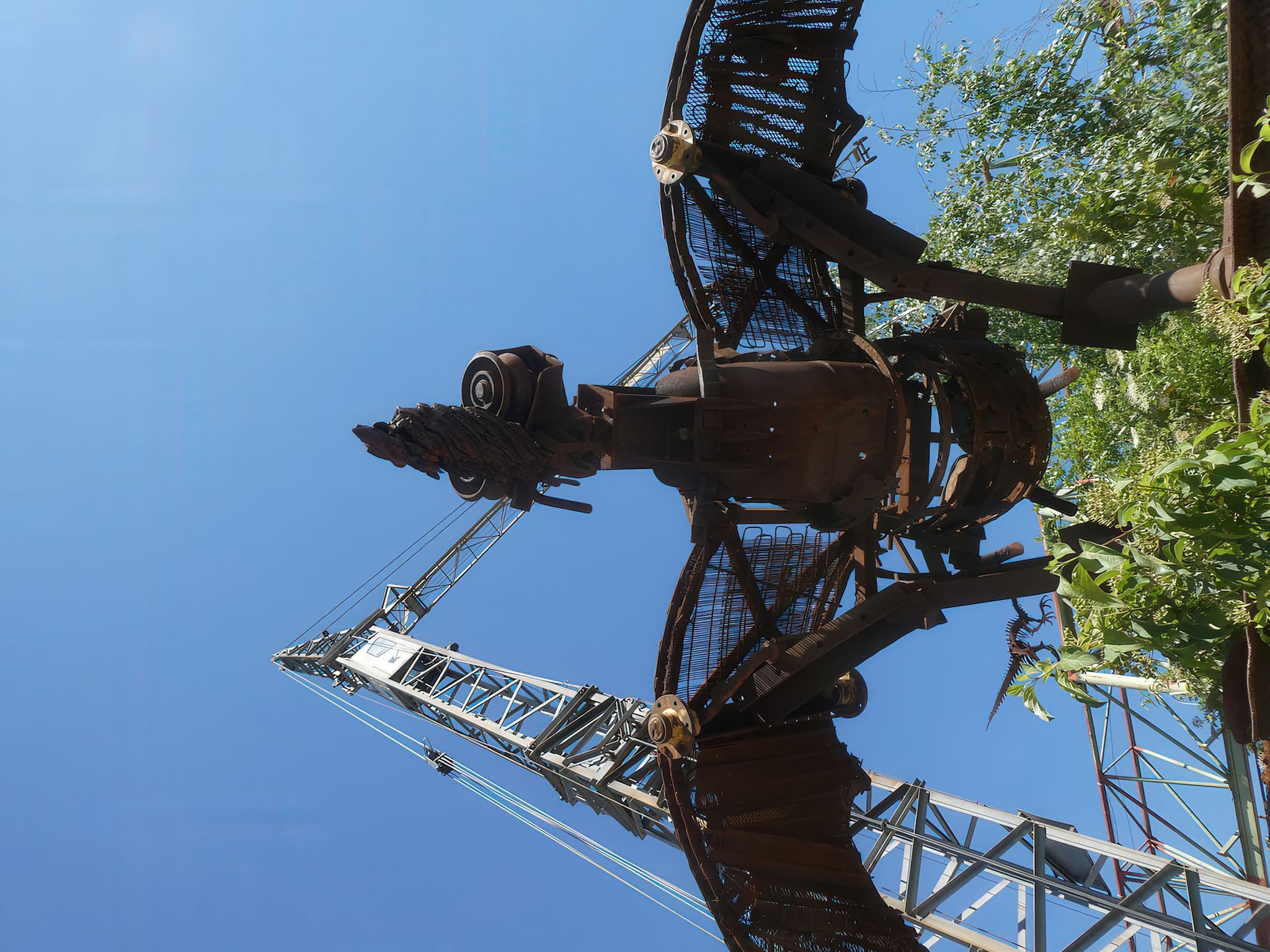 Solarvogel von unten fotografiert — dramatische Froschperspektive
