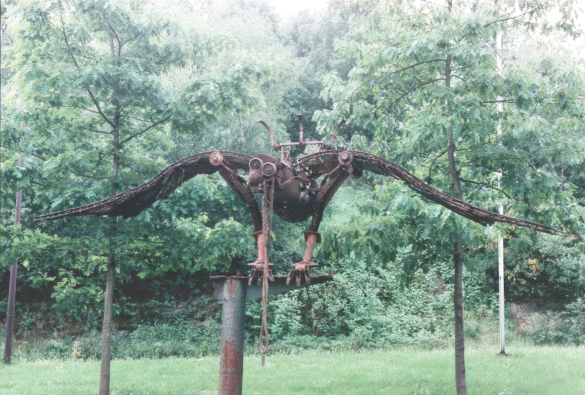 Solarvogel in natürlicher Umgebung mit Bäumen