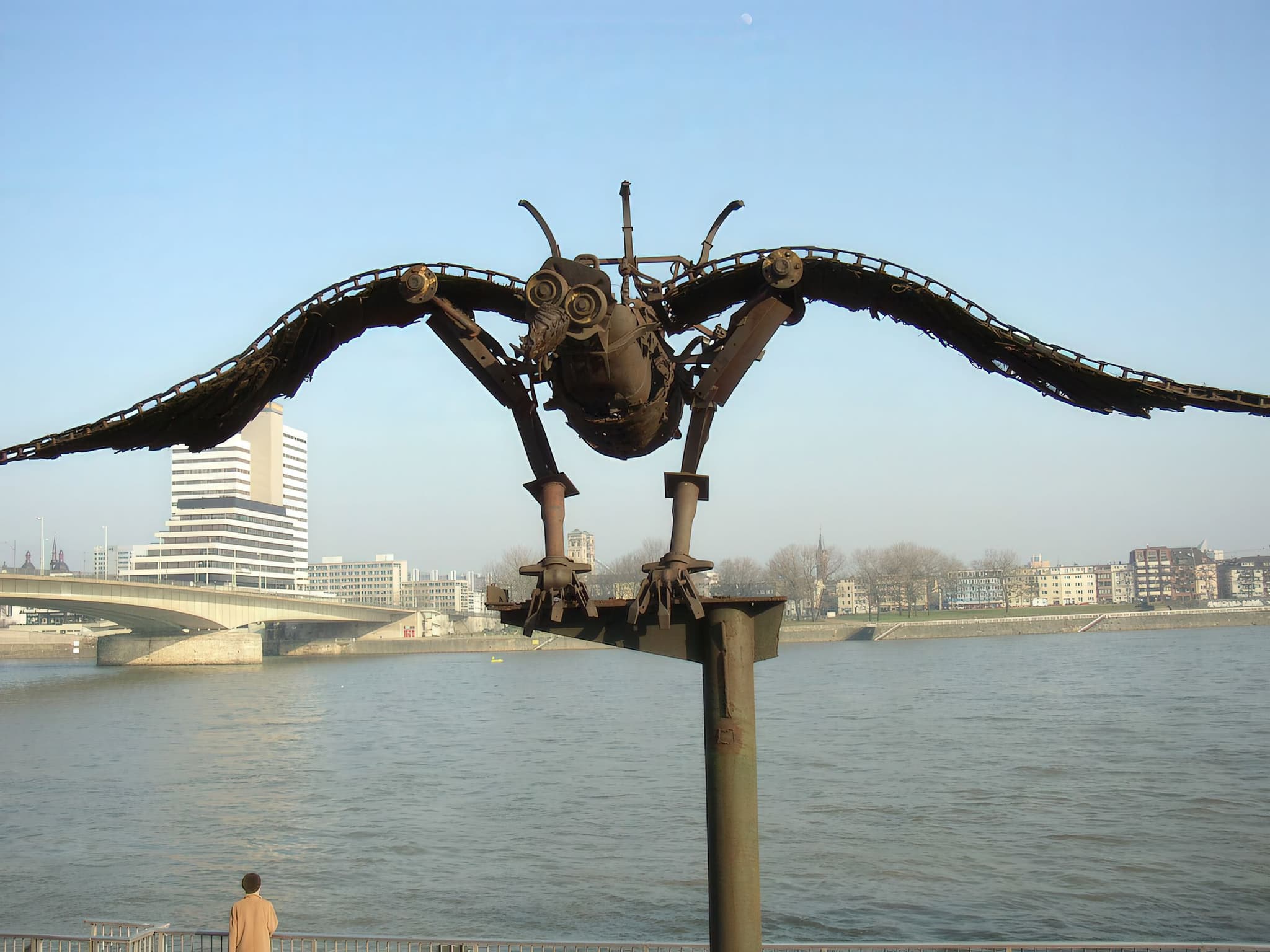 Solarvogel frontal an der Kölner Rheinpromenade mit Brücke und Skyline